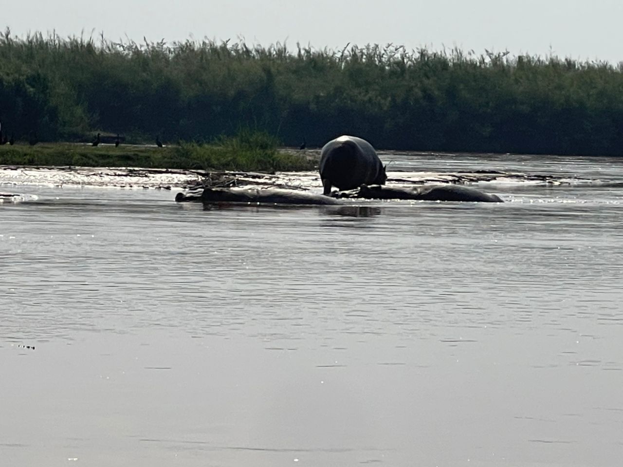 4-Day Cultural & Nature Itinerary