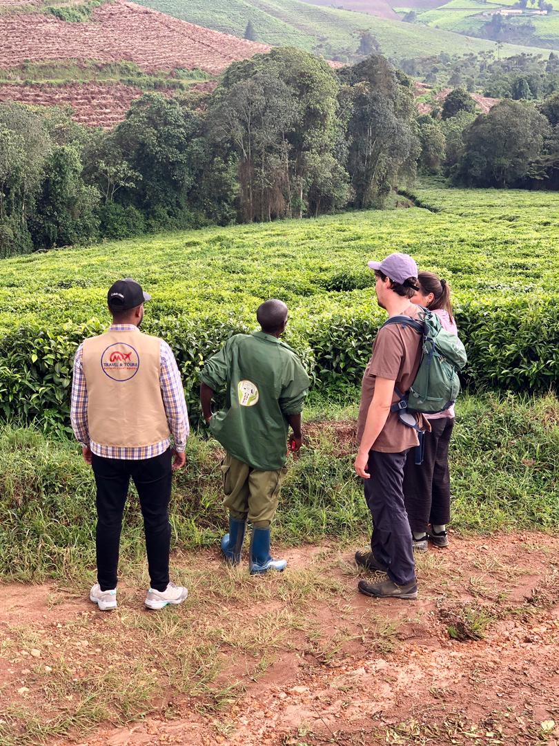 One-Day Bujumbura City Tour Experience